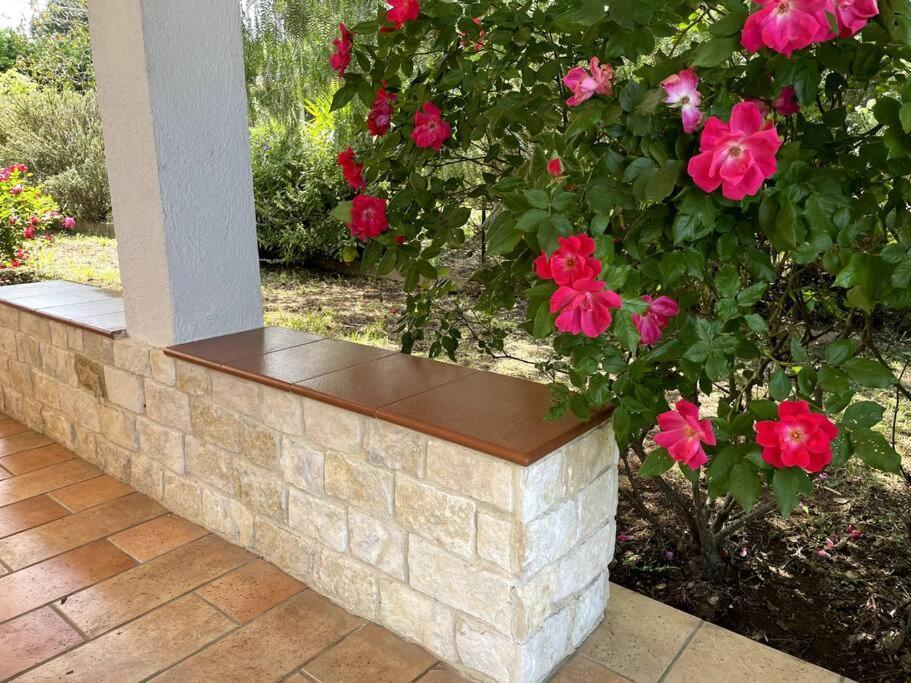 הוילה קאסאנו דלה מורג'ה Rose Country מראה חיצוני תמונה